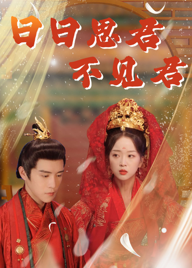 日日思君不见君封面图