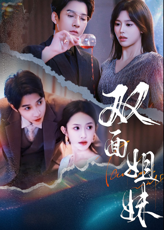 双面姐妹封面图