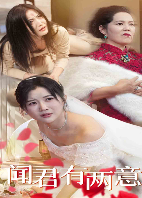 闻君有两意封面图