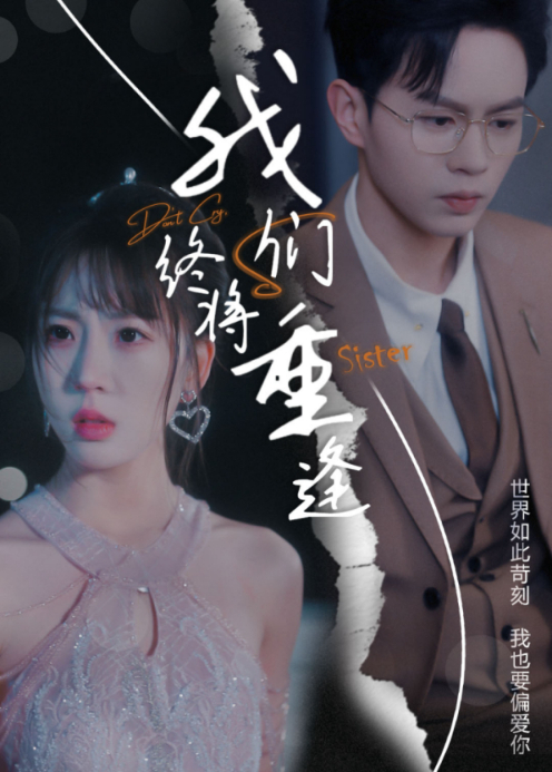 我们终将重逢封面图