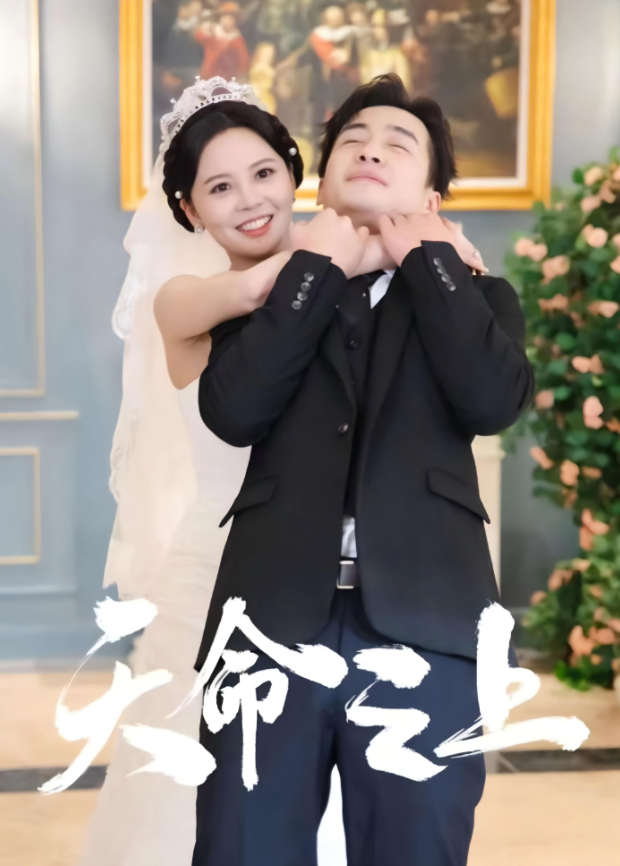 天命之上封面图