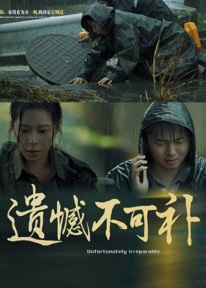 遗憾不可补封面图