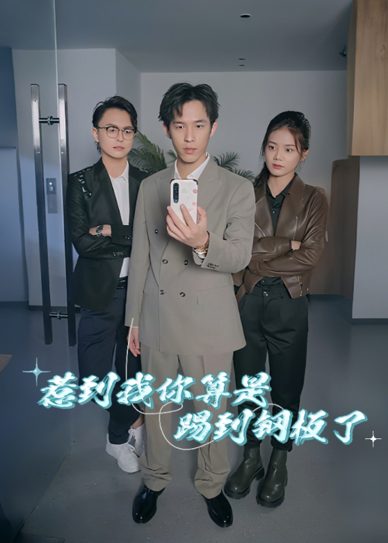 惹到我你算是踢到钢板了封面图