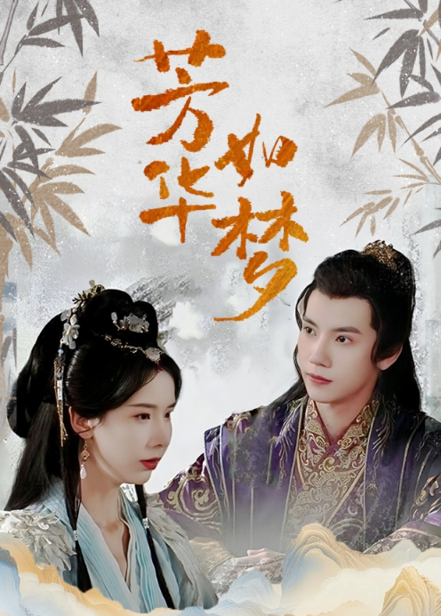 芳华如梦封面图