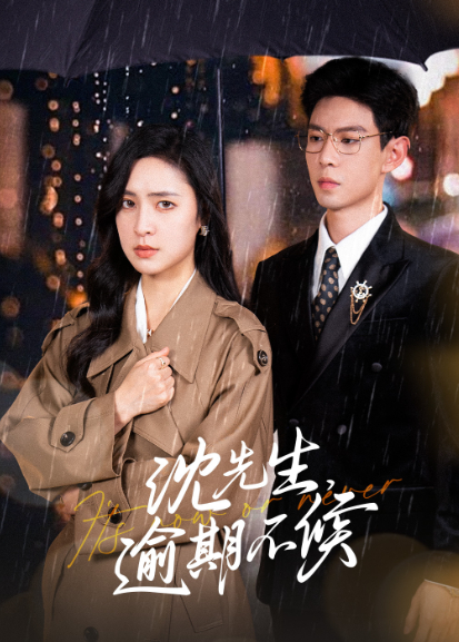 沈先生，逾期不候封面图