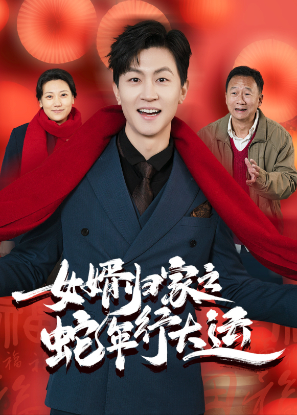 女婿归家之蛇年行大运封面图