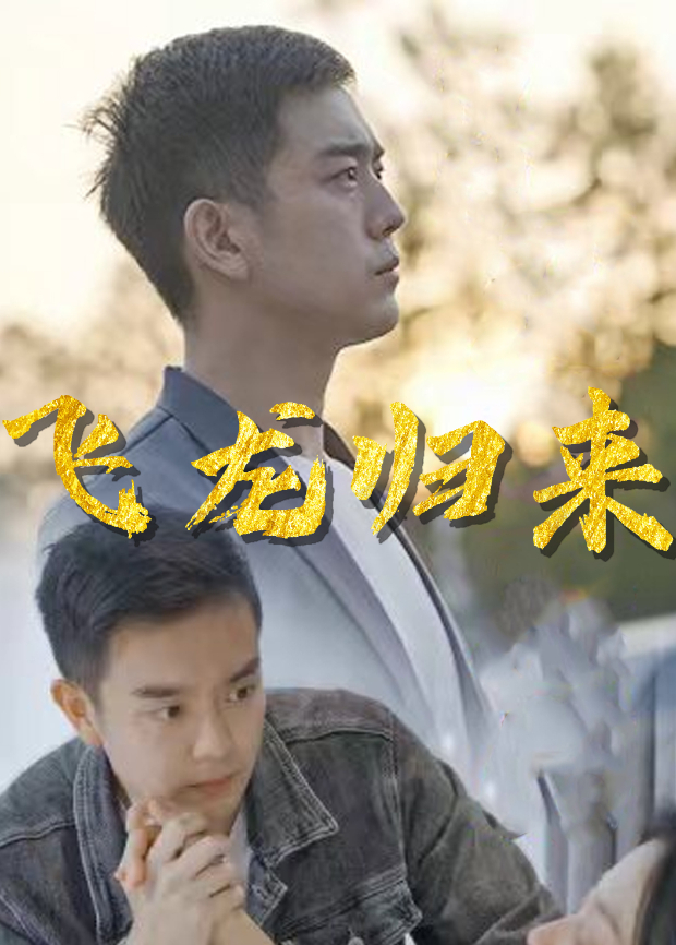 飞龙归来封面图