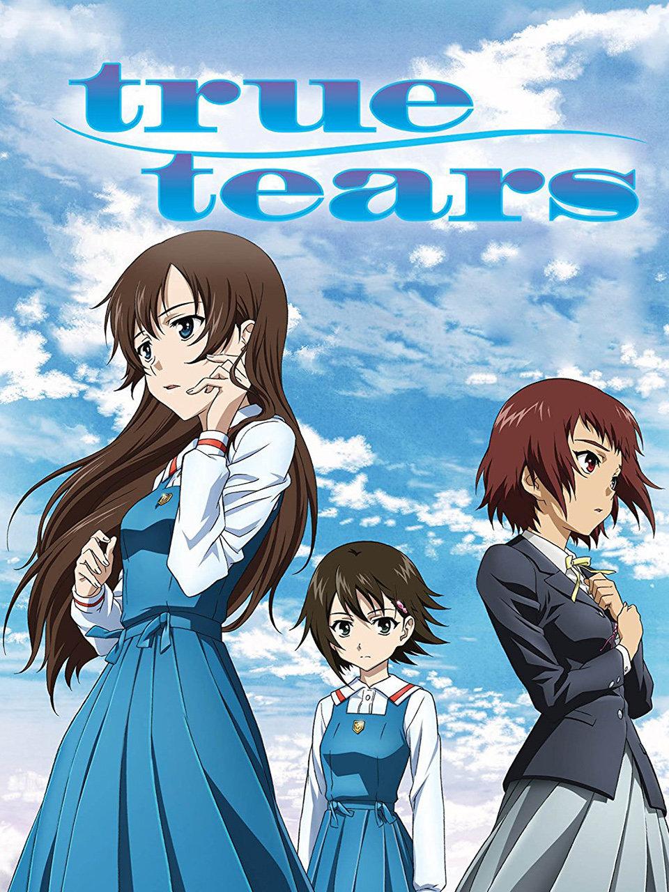 真实之泪封面图