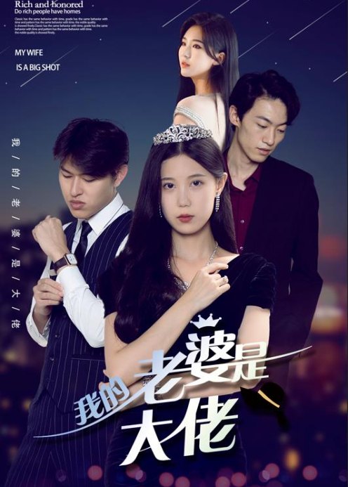 我的老婆是大佬封面图