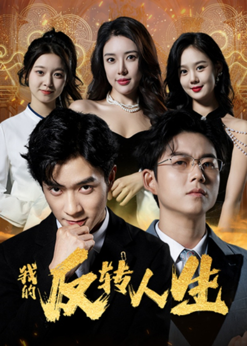 我的反转人生封面图