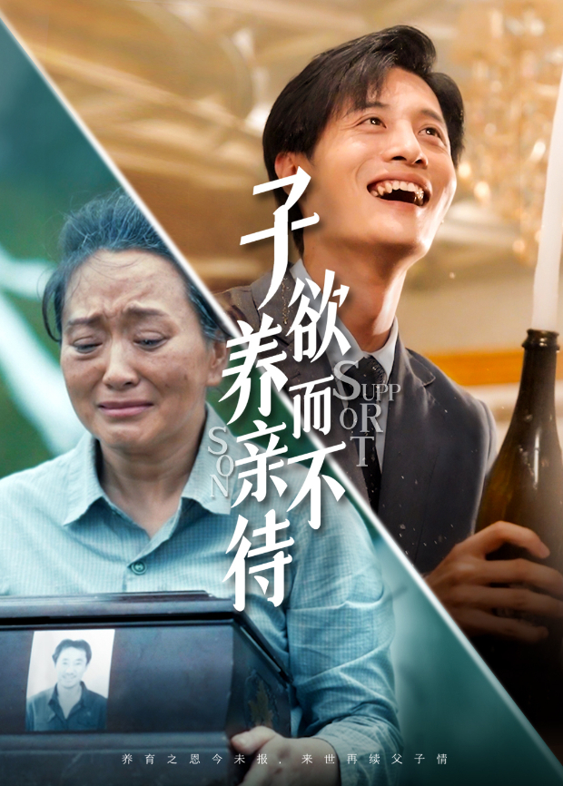 子欲养而亲不待封面图