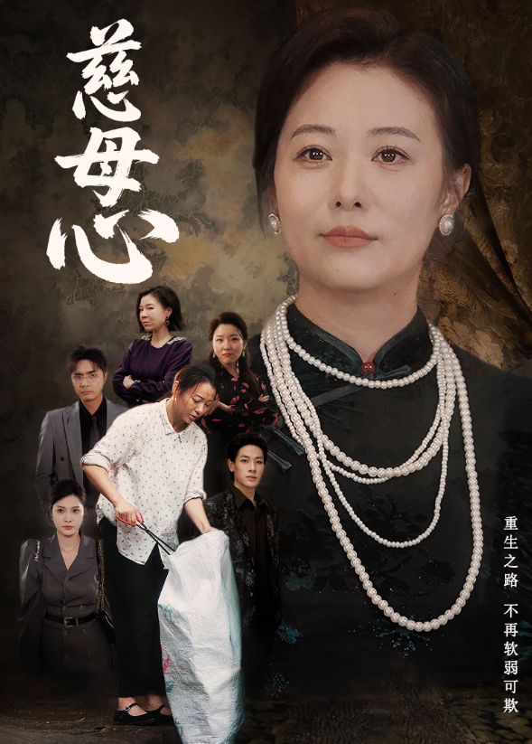慈母心封面图