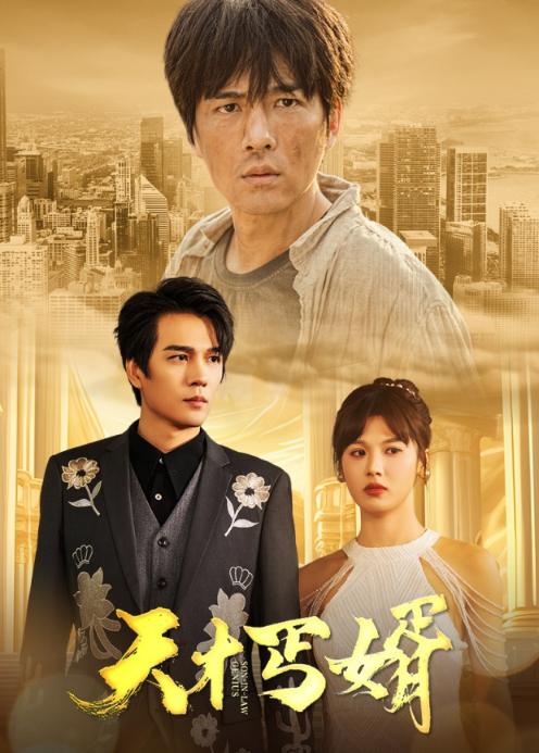 天才丐婿封面图