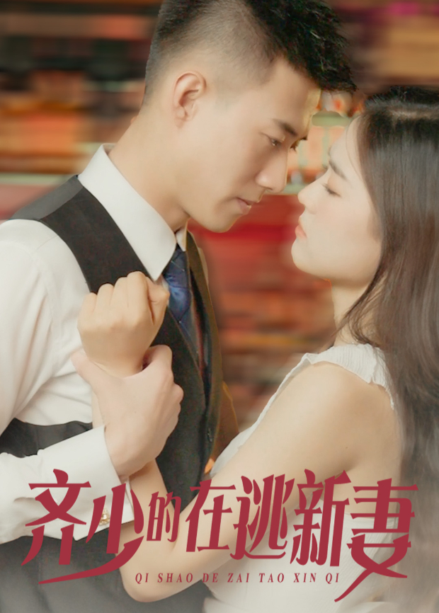 齐少的在逃新妻封面图