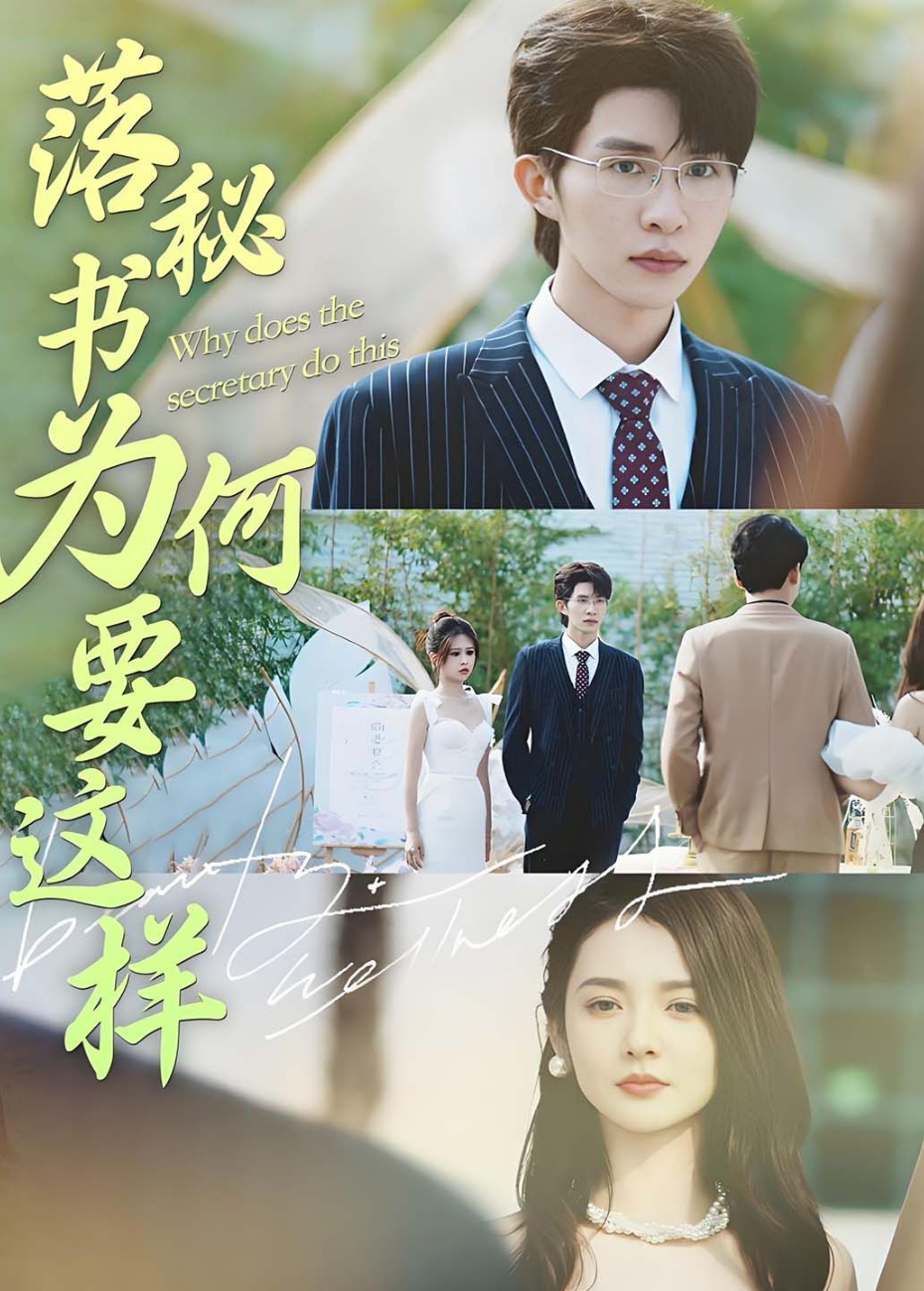 落秘书为何要这样封面图