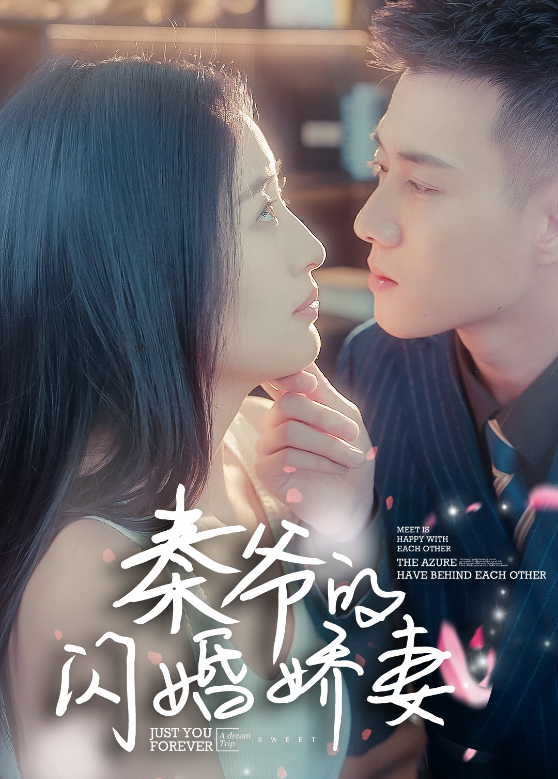 秦爷的闪婚娇妻封面图