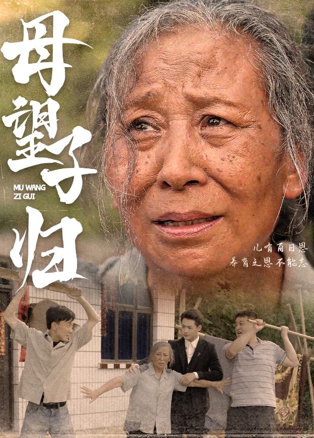 母望子归封面图