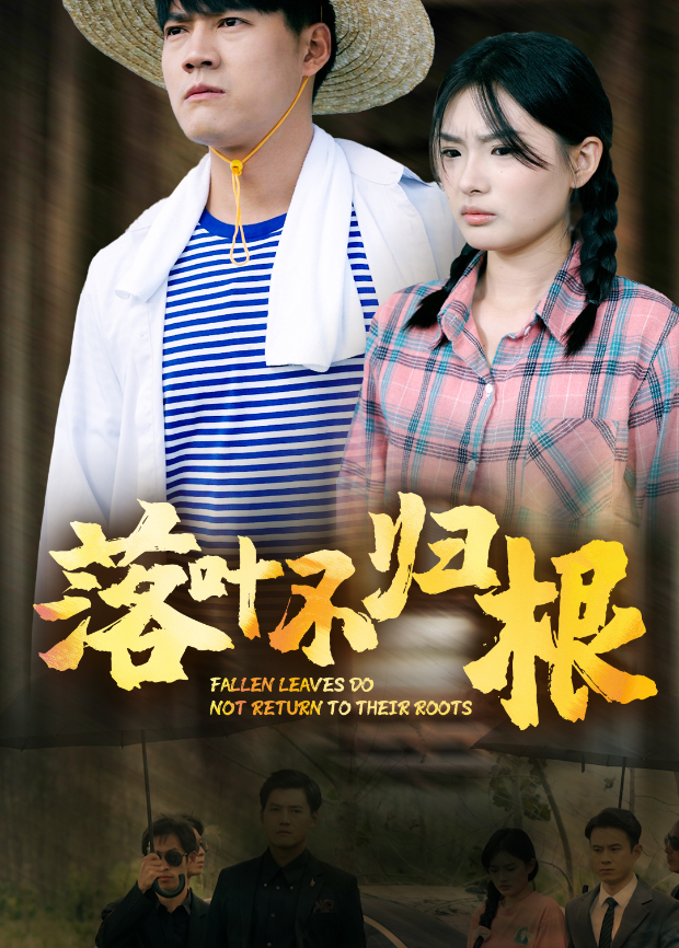 落叶不归根封面图