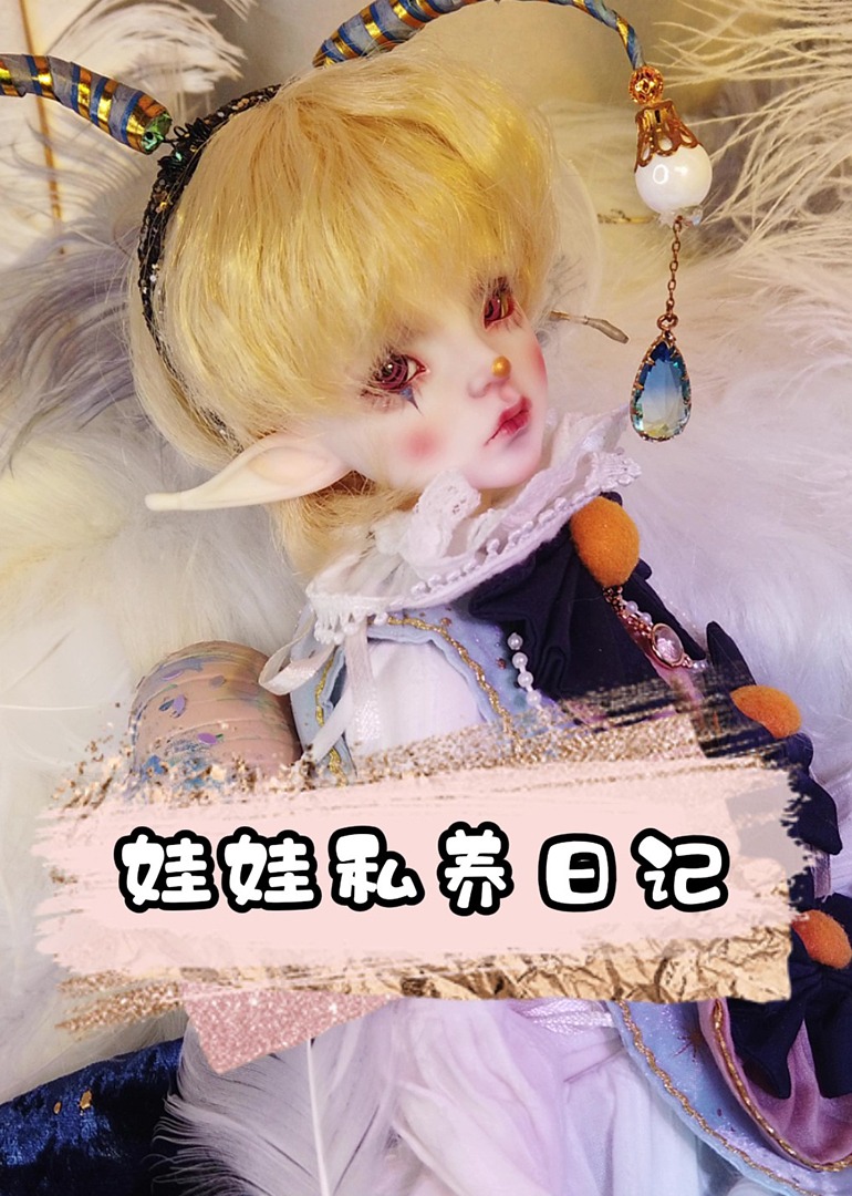 娃娃私养日记封面图