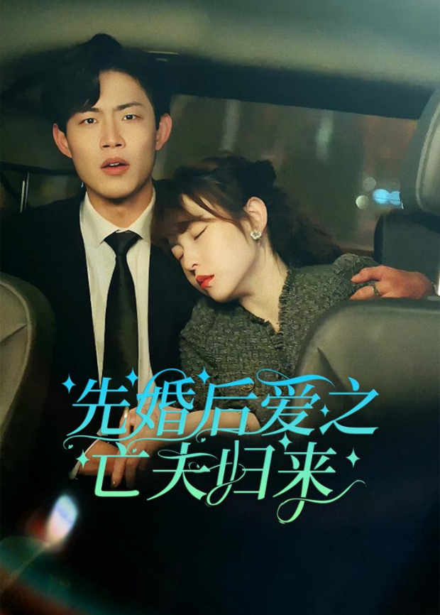 先婚后爱之亡夫归来封面图