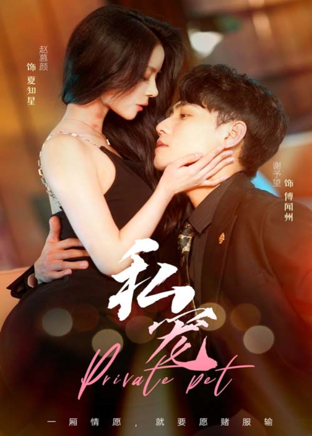 私宠封面图