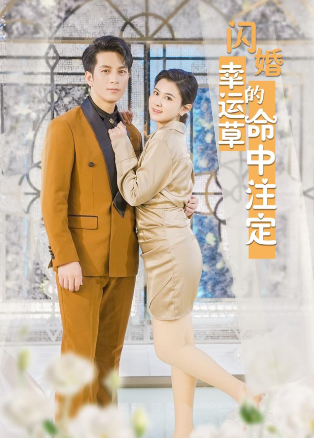 闪婚幸运草的命中注定封面图