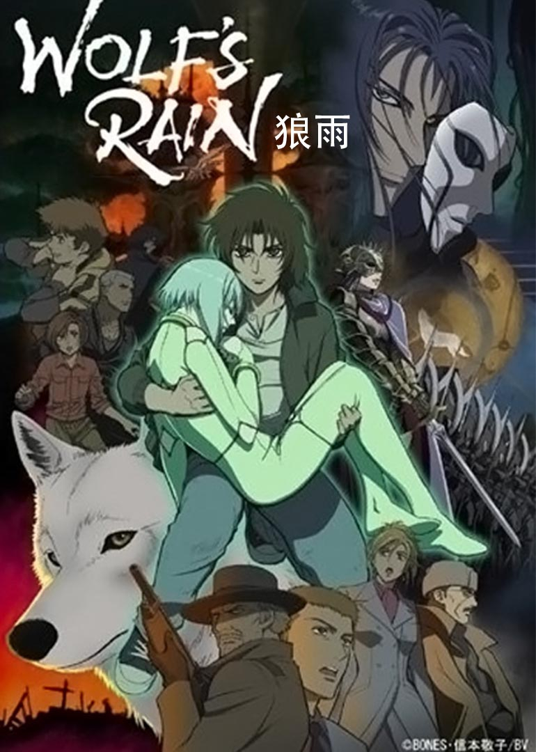 狼雨封面图