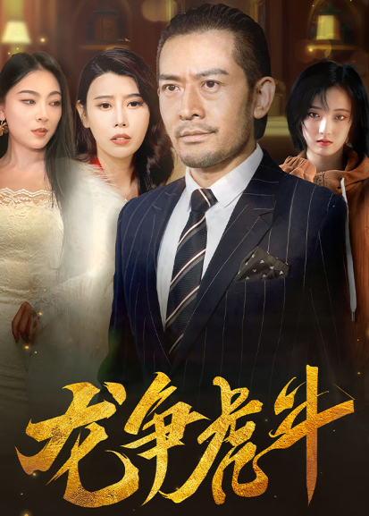 龙争虎斗封面图