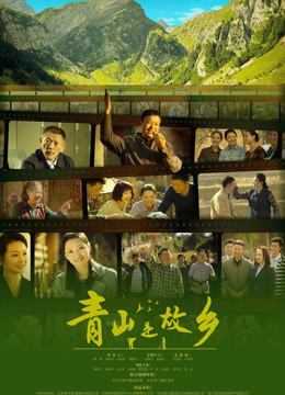 青山是故乡封面图