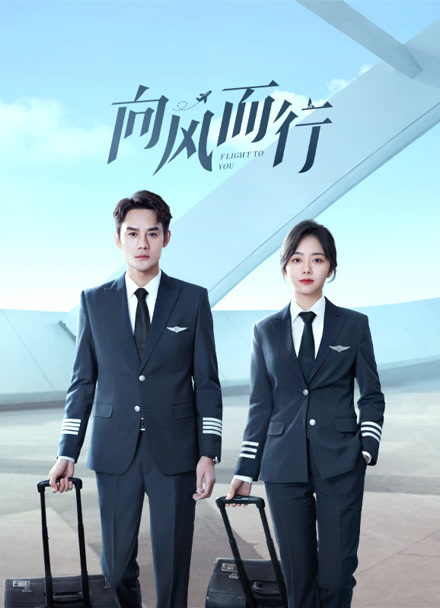 向风而行封面图
