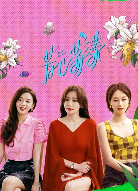 芳心荡漾封面图