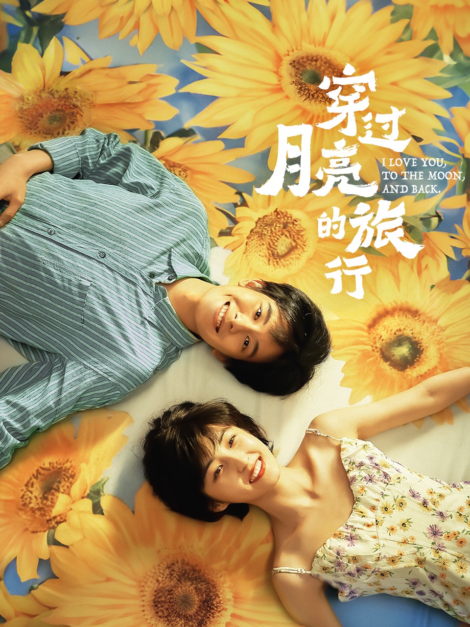 穿过月亮的旅行封面图