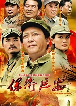 保卫延安封面图