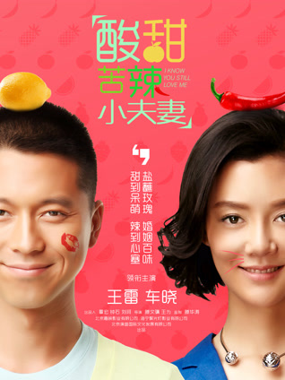 酸甜苦辣小夫妻封面图