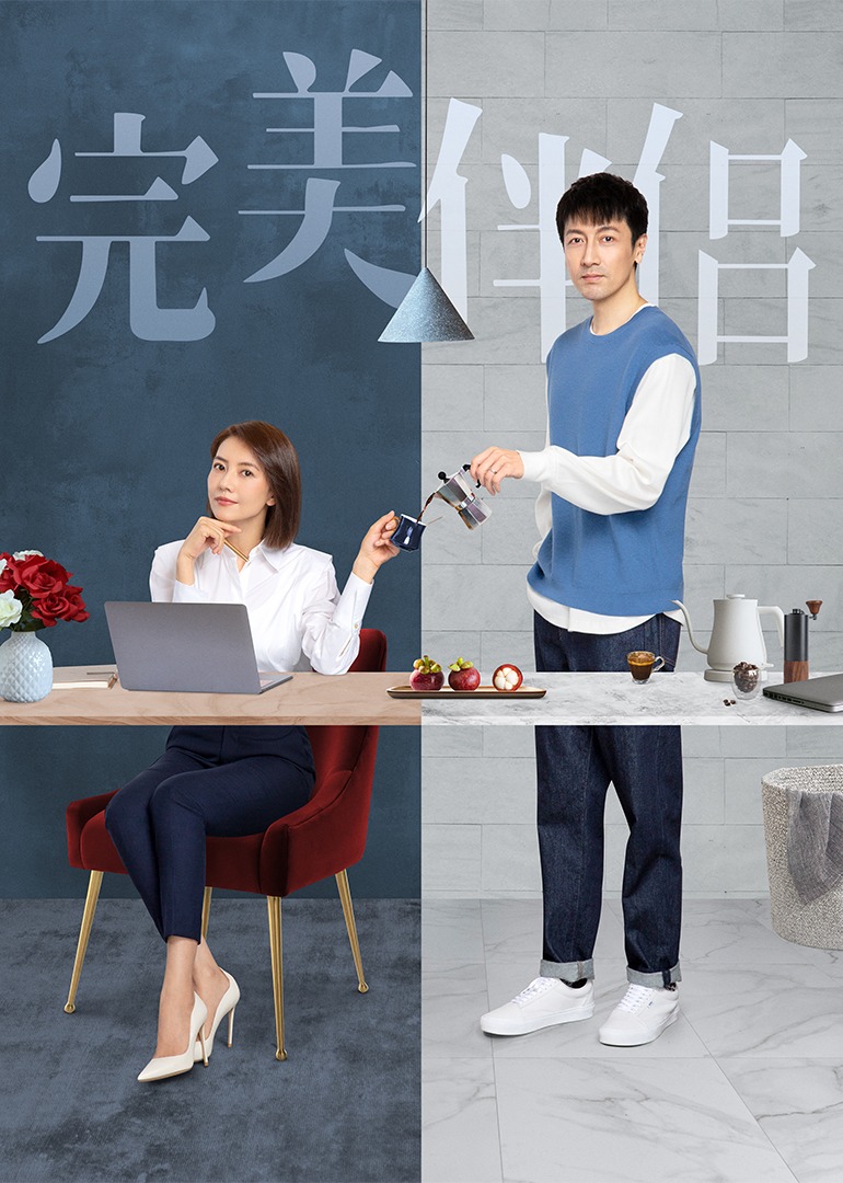 完美伴侣封面图