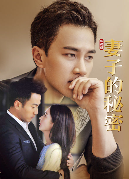 妻子的秘密封面图
