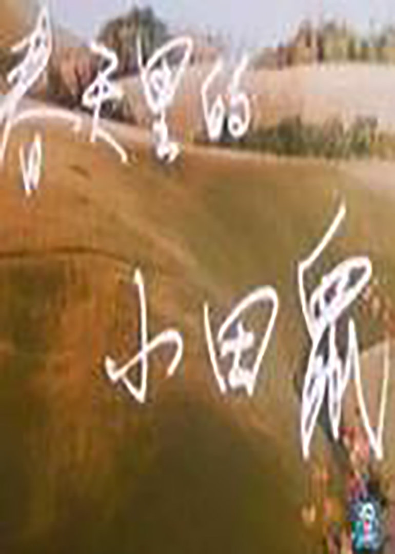 春天里的小田鼠封面图