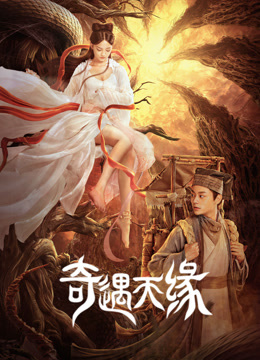 奇遇天缘封面图