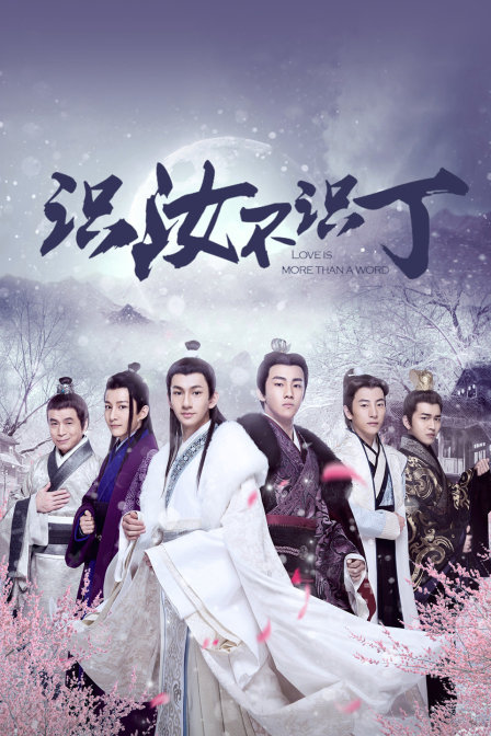 识汝不识丁封面图