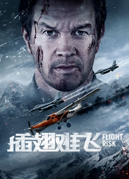 插翅难飞封面图