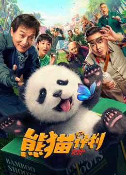 熊猫计划封面图