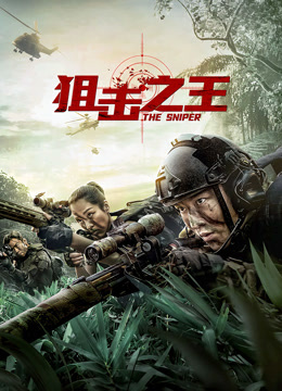 狙击之王封面图