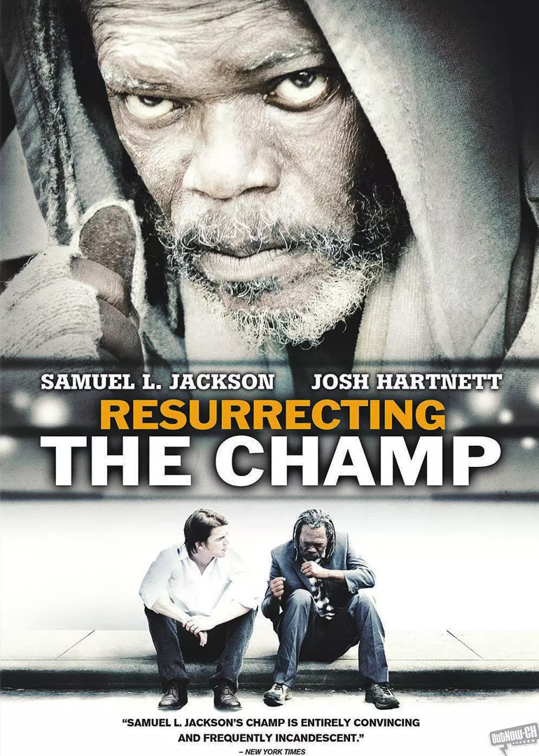 重整旗鼓封面图