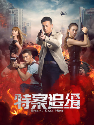 特案追缉封面图
