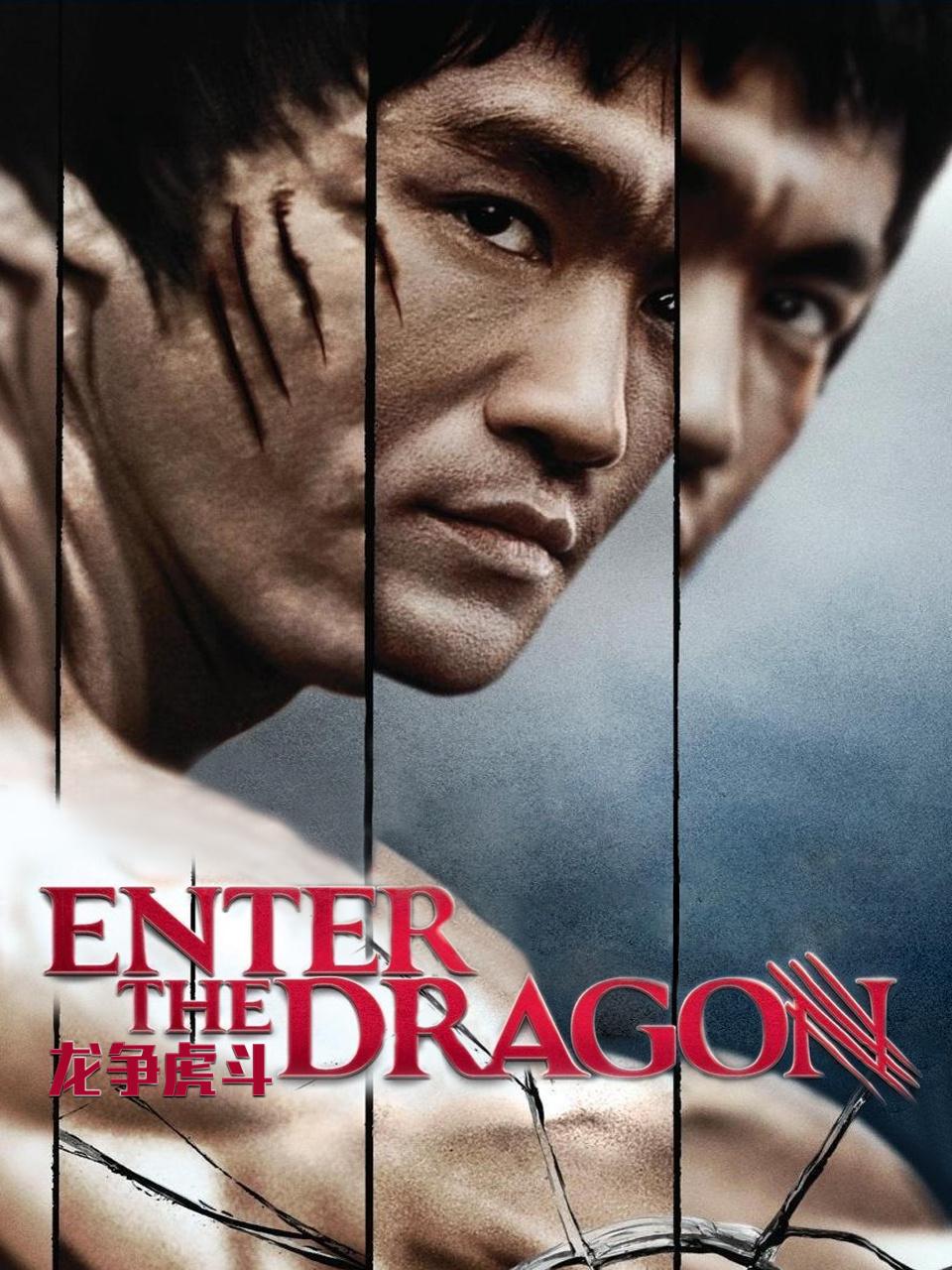 龙争虎斗封面图