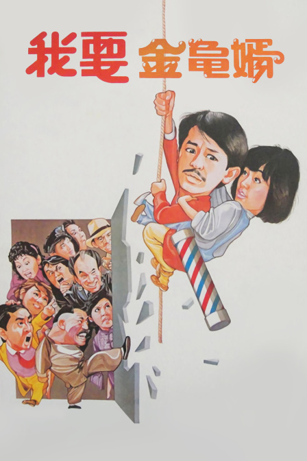 我要金龟婿封面图