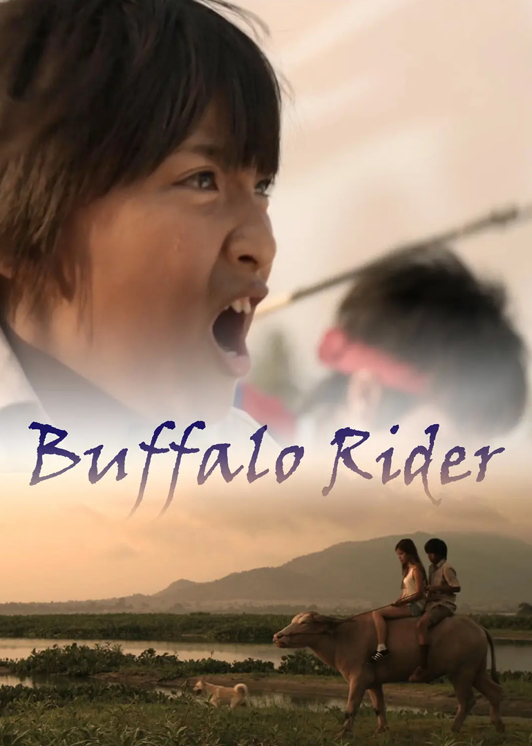 水牛骑士封面图