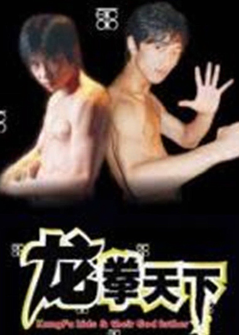 龙拳天下封面图