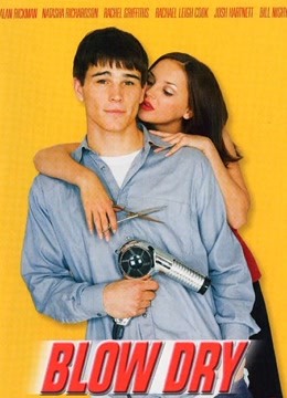 大放异彩封面图