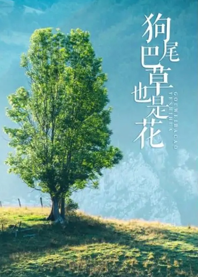 狗尾巴草也是花封面图